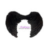 ALA ANGEL PLUMA *1U