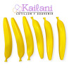 MARACAS BANANA *12U