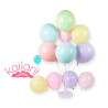 GLOBOS SURTIDO PASTEL 12" *25U