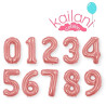 copy of
