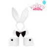 SET CONEJO 4 ART *1U