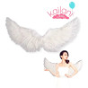 ALAS DE ANGEL BLANCO  *1U