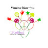 VINCHA FLUOR *4U