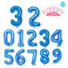 copy of