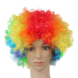 PELUCA PAYASO 120G *1U